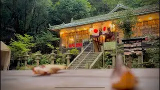 A Quiet Walk to a Shrine in Japan | Day Ambience