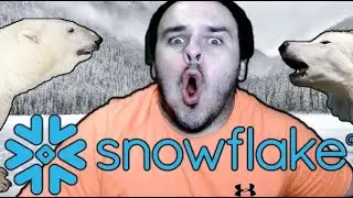 Snowflake Stock is an ABSOLUTE UNIT - $SNOW Stock Financial Statement Analysis with a CPA (PAID)