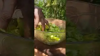 Okra moju (Bandakka moju) Recipe ❤️🍃😍 | nature village food #shorts