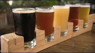 Chicago&rsquo;s Best Brew Pubs Show Open