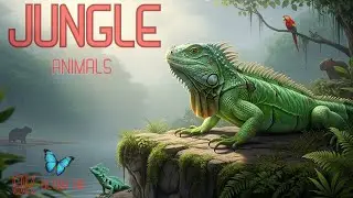 8K Ultra HD Nature & Wildlife Sounds | Realistic Natural Audio for Nature Lovers