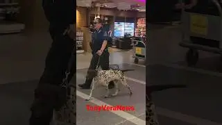 LAX airport police K9
