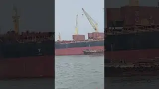 ⛴️ ship #tags