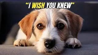 15 SUBTLE Things Your Dog WISHES You Knew