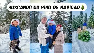 TODO LO QUE NOS PASÓ X UN PINO 😲