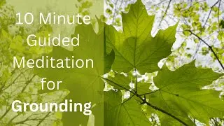 10 Minute Guided Meditation for Grounding | Ground & Settle the Body & Mind | no music