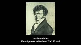 Ferdinand Ries - Flute Quartet in D minor WoO 35 no.1