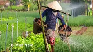 Sustainability standards adoption rates