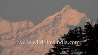 Jaonli, first climbed by Hari Dang, as seen from wildfilmsindia wildlife sanctuary in the Himalaya