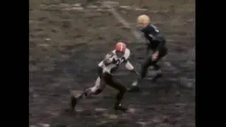 Ray Saves The Day
