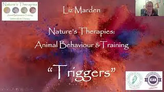 Trigger stacking - what are triggers and how do we avoid trigger stacking our pets?