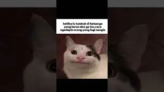 Asupan Meme Part 360 #shorts #meme #memes