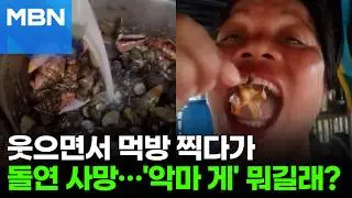 먹방 찍다 이틀 만에 사망…'악마 게' 뭐길래? [포크뉴스]