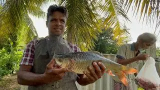 $1 Freshwater Food? 🦀 Shopping at Sri Lanka&rsquo;s Cheapest Fish Market!