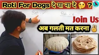 Can we give roti to dogs or not 🤔? || Roti For Dogs || Safe ✅ Or Not ❌ || Don't make the mistake ...