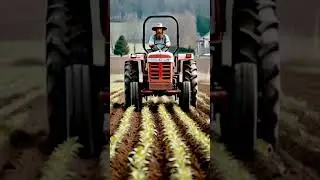 A old man driving a old tractor in his field #countrylove #roadsideamerica #cowboypoetry