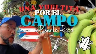 Una Vuelta  por los Campos de Puerto Rico 🇵🇷 Guavate | Lares | Castañer | El Yunque