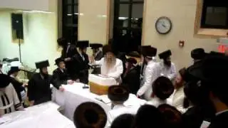 Nikolsburg Rebbe Purim by the Tish 5769