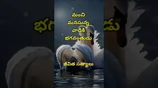 Manchi matalu #3090 | jeevitha satyalu | neethi vakyalu | telugu sukthulu | top matalu | quotations