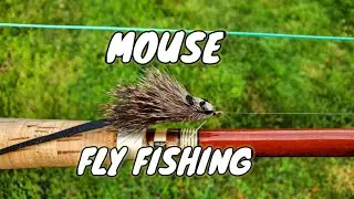 Mouse Fly Fishing Catches a Couple Bass FAST