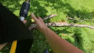 Can an Electric Pole Saw cut up a TREE?