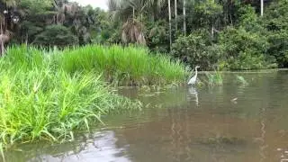 TAMBOPATA TOURS