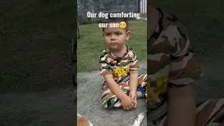 Life with a toddler #foreverTreasure #dogBff