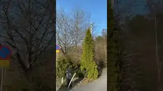 Beautiful spring weather in sweden 😃👍🏻🇸🇪☀️