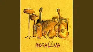 Tra radice e corteccia