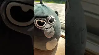 This is crazy  #gorillatag #vr #shorts