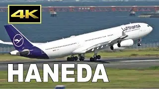 [4K] Which livery do you like best? Lufthansa Airbus A340-300 at Tokyo Haneda Airport / 羽田空港