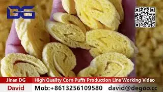#Corn Puffs Line#Puff Snacks Production Line Working Video
