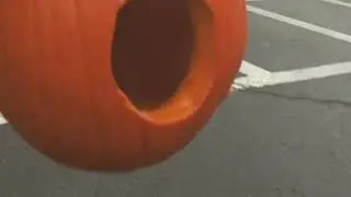 My pumpkin got in on the #dreamschallenge