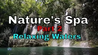 Nature's Spa Pt. 2 [Sounds of Relaxation]