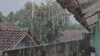 Real Rain Sounds in Indonesian Village 🌧️ Natural Countryside Ambience
