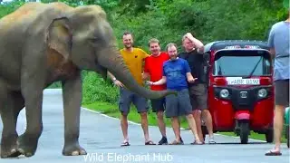 Most Popular Photo Of The Year 2024 With Wild Elephant.