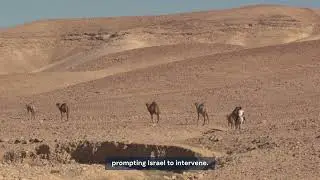 Israel AirSTRIKES in  Syria! Damascus Under Attack but why?