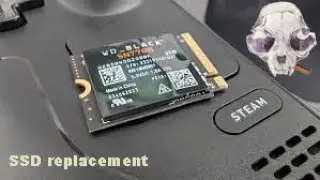 SteamDeck OG SSD upgrade 246gb