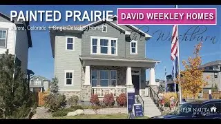 🎨 Aurora CO I Painted Prairie I David Weekley I Washburn I Washburn I 3-6 Bed I 2,200 - 3,400 SF