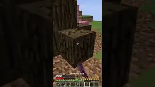 Minecraft Bedwars TNT Jump #bedwars #minecraft #hypixel #shorts