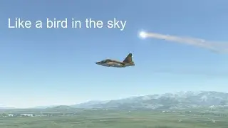 Like a bird in the sky [DCS]