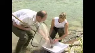 Neues Leben für die Isar
