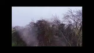 Drone shots Buitenhuis kooi Rouveen 