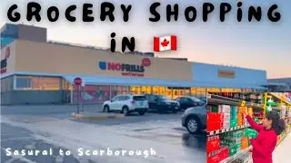 Indian Grocery shopping in 🇨🇦 | Everything under $5 at Dollarama| #vlog #dailyvlog #canada #life
