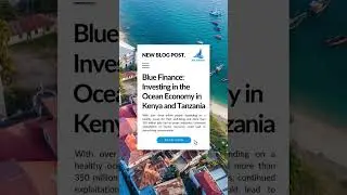 Blog 4 Blue Finance