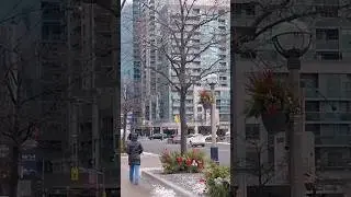 Beautiful street of Toronto 🇨🇦#building #street #youtubeshorts
