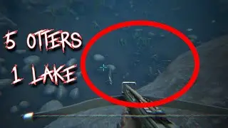 The Best Place To Tame And Find Otters | Ark Survival Evolved Fjordur