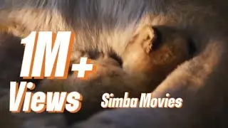 Simba Line Movies🦁