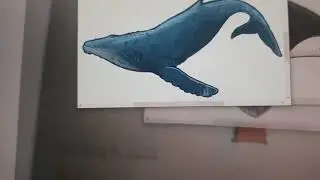 The Humpback Whale Broke The Clock Hickory Dickory Dock