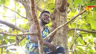 I &Ouml; MA BO LA ~ ZEKE-YAMO (Centrafrique Musique)